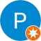 Paula R. Avatar