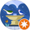 D P. Avatar