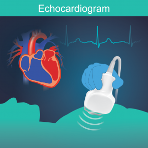Echocardiography_Citrus-Cardiology-01
