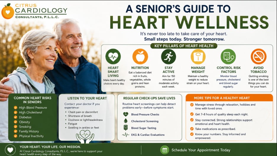senior guide to wellness