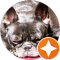 Linette J. Avatar