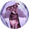 kathy b. Avatar