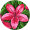 Ellie B. Avatar
